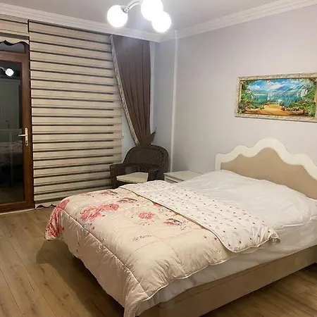 Private In Yalova/thermal, With Heated Pool ターマル